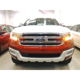 Lưới tản nhiệt Ford Everet 08